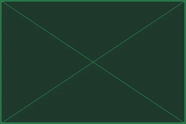 奇幻试炼演练场全景 - 赏金女王模拟器